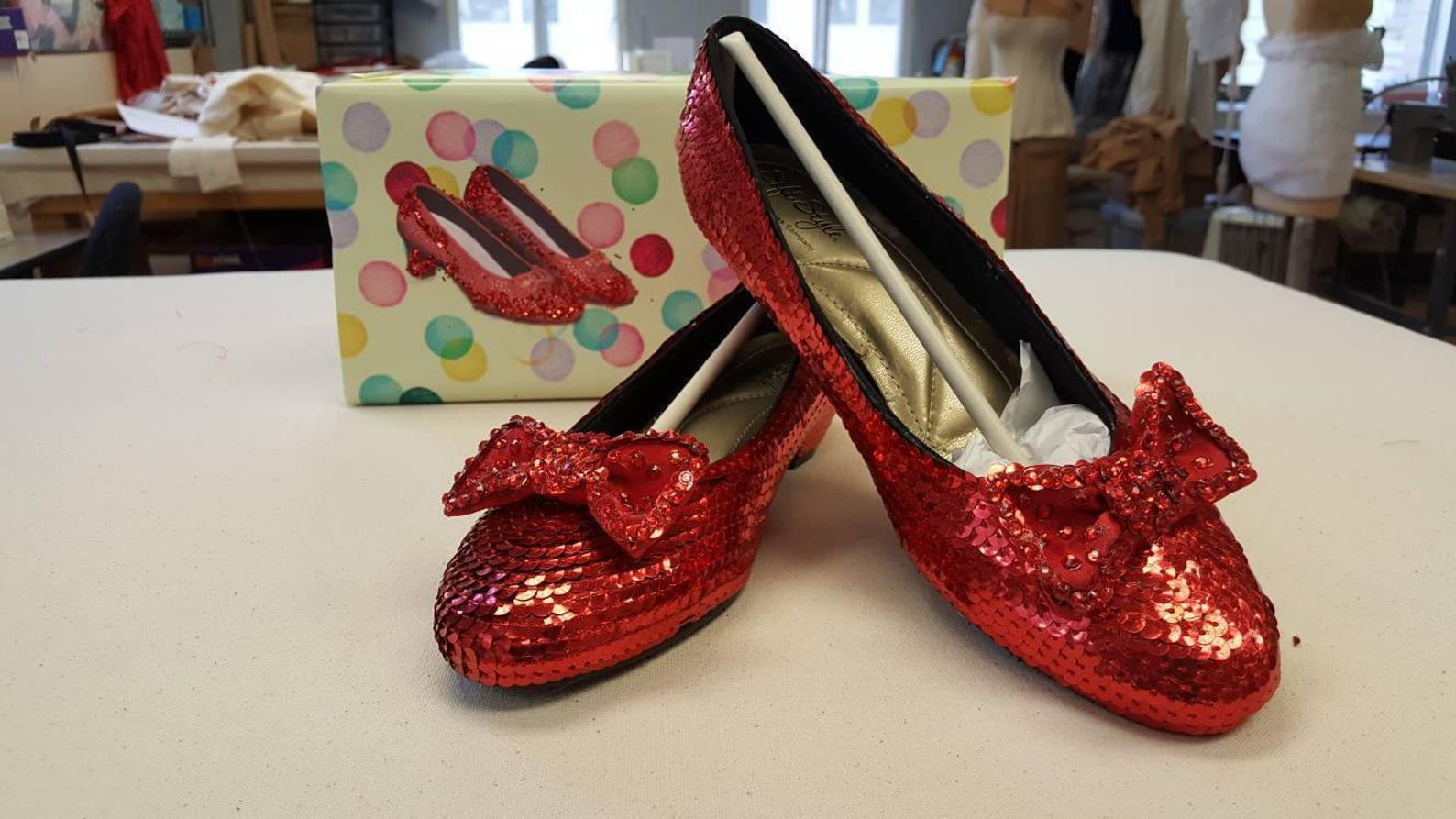mens ruby slippers