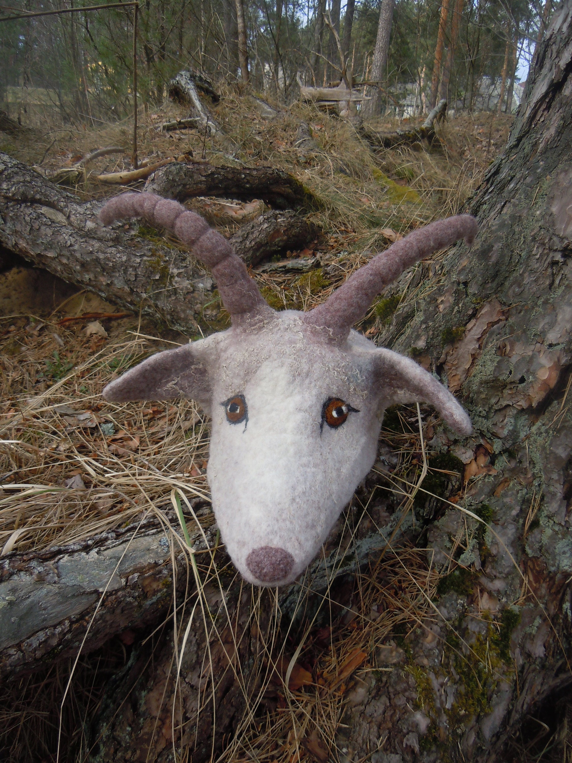 Goat hat 2024 with horns
