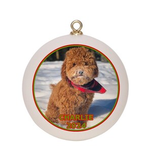Custom Dog, Cat, or Pet Ornament Keepsake with Gift Box | Personalized Pet Picture with Pet Name | Shatterproof 2020 Christmas Tree Ornament