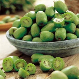 Kiwi Actinidia Arguta Seeds, Snack Mini Kiwi Berries, Hardy, Fresh Seeds Only image 1