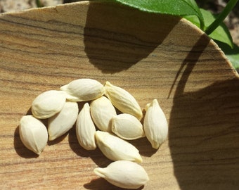 Lemon seeds fresh from Crete or Amalfi Coast (Sfusato Amalfitano), selectable, 10x for planting, decoration, essential oils