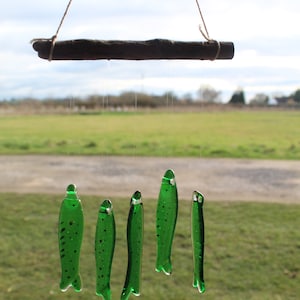 fish wind chimes hanging from driftwood. Fishes made in fused glass and make a lovely wind chime. green