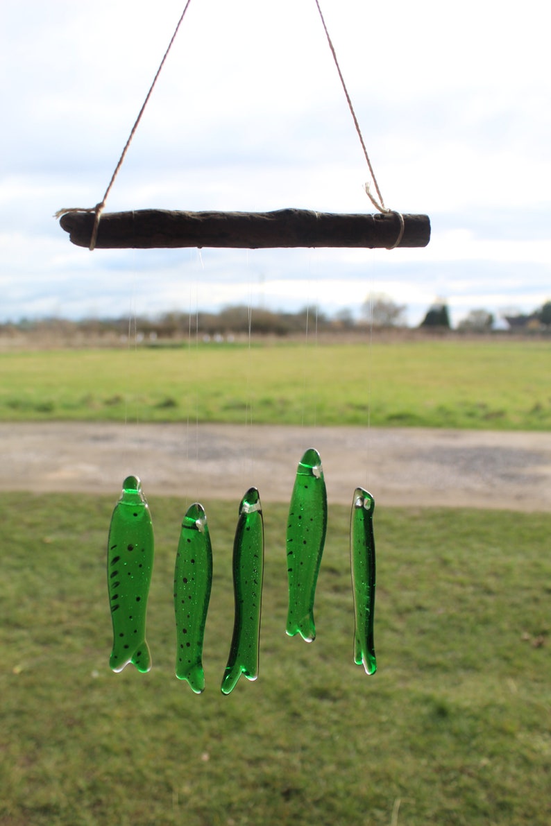 fish wind chimes hanging from driftwood. Fishes made in fused glass and make a lovely wind chime. green