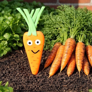 Puede incluir: Una zanahoria de dibujos animados naranja con una cara sonriente y una parte superior verde se encuentra en tierra oscura junto a un montón de zanahorias reales. El fondo incluye plantas verdes y una pared de ladrillos.