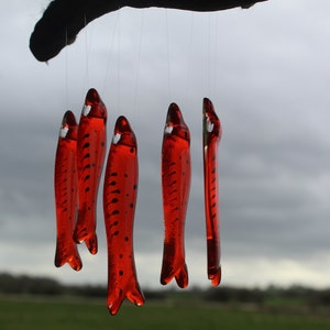 fish wind chimes hanging from driftwood. Fishes made in fused glass and make a lovely wind chime. orange