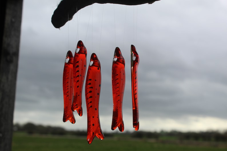 fish wind chimes hanging from driftwood. Fishes made in fused glass and make a lovely wind chime. orange