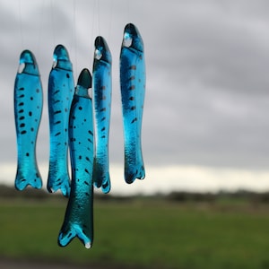 fish wind chimes hanging from driftwood. Fishes made in fused glass and make a lovely wind chime.