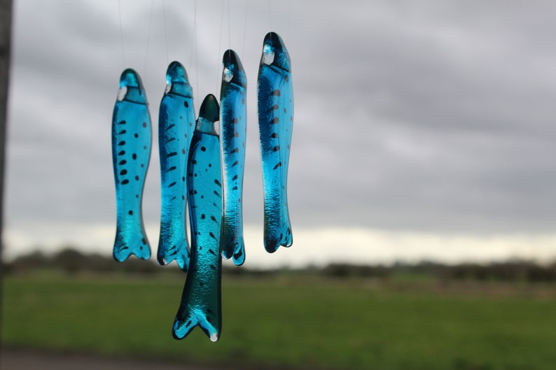 fish wind chimes hanging from driftwood. Fishes made in fused glass and make a lovely wind chime. blue