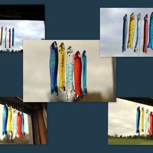 fish wind chimes hanging from driftwood. Fishes made in fused glass and make a lovely wind chime. 5 colours