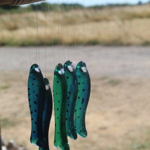 fish wind chimes hanging from driftwood. Fishes made in fused glass and make a lovely wind chime. blue/green