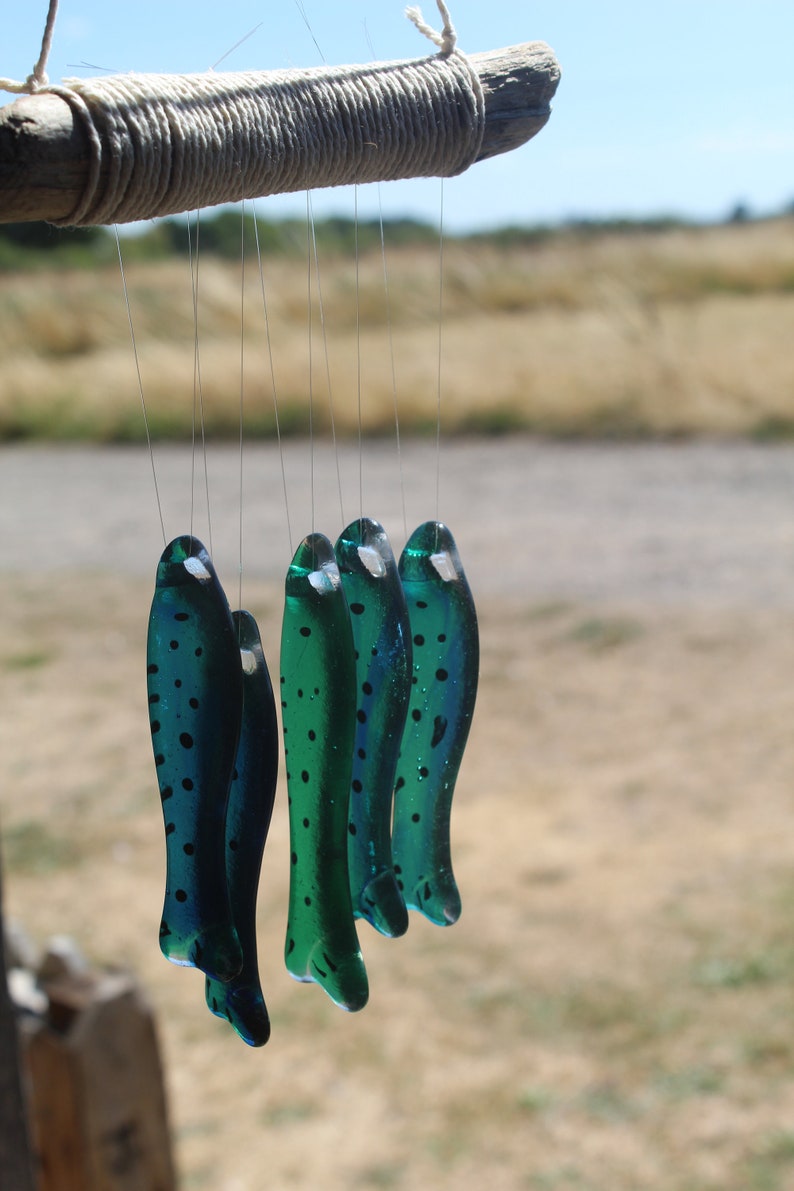 fish wind chimes hanging from driftwood. Fishes made in fused glass and make a lovely wind chime. blue/green