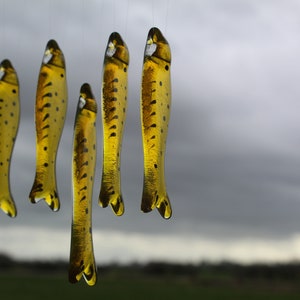 fish wind chimes hanging from driftwood. Fishes made in fused glass and make a lovely wind chime. yellow