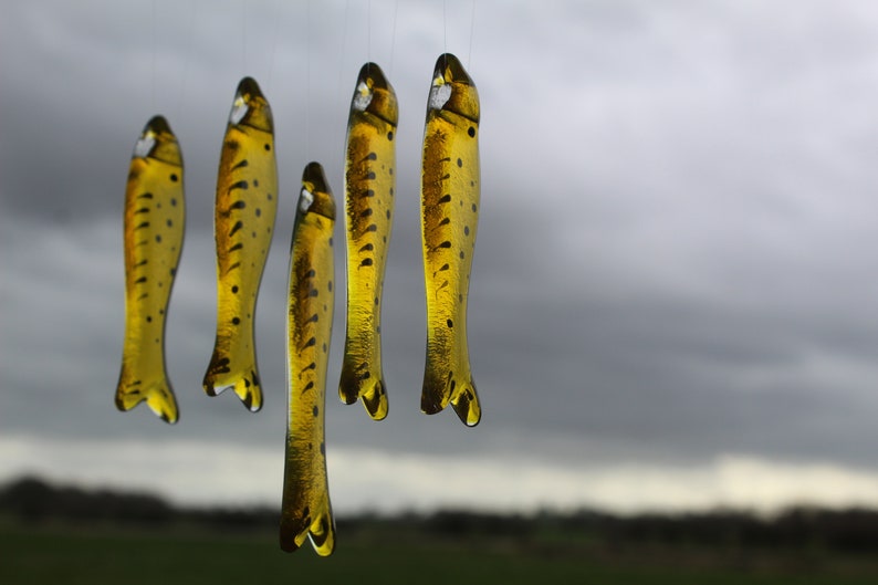 fish wind chimes hanging from driftwood. Fishes made in fused glass and make a lovely wind chime. yellow