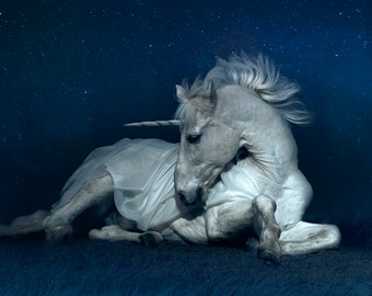 Limited edition print - Unicorn Dreams