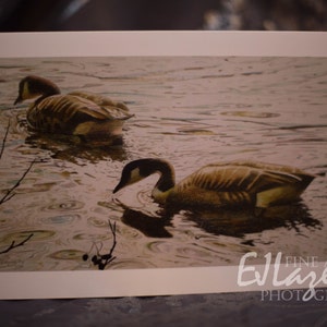 Blank Art card - Quiet Waters