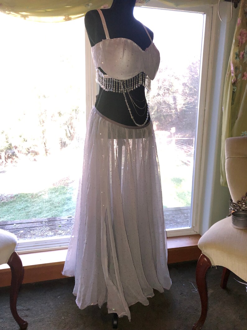 Beautiful Belly Dance Costume Bra and Skirt Set Etsy