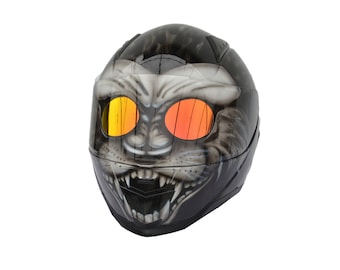 Handmade Airbrushed Skull Motorcycle Helmet, DOT/ECE Certified