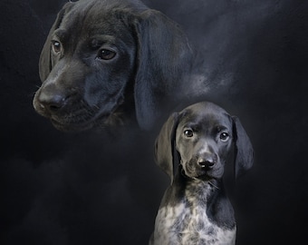 Digital Delivery, Custom 80’s/90’s Style Double Exposure Pet Portrait, Awkward Family Portrait, Glamour Shots Edit, Photoshop