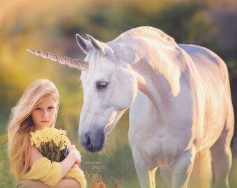 White Unicorn in Flower Field at Sunset Digital Background, Instant Download