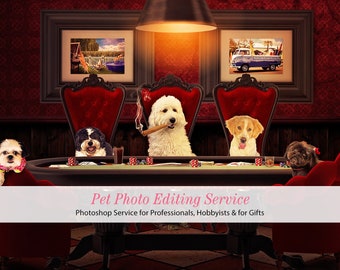Perros jugando al póquer Servicio de edición de Photoshop para mascotas, Regalo del jugador de póquer, Regalo personalizado del jugador de póquer, Decoración de la sala de juegos