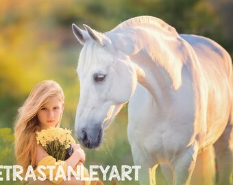 White Horse in Flower Field at Sunset Dreamy Bokeh Digital Background, Instant Download