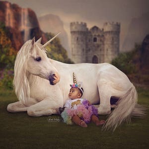 2 Unicorn Digital Backdrop - Overlay - Digital Background - Princess - Castle - Unicorn - Unicorn Party - Unicorn Birthday - Photo Backdrop