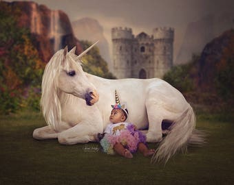 2 Unicorn Digital Backdrop - Overlay - Digital Background - Princess - Castle - Unicorn - Unicorn Party - Unicorn Birthday - Photo Backdrop
