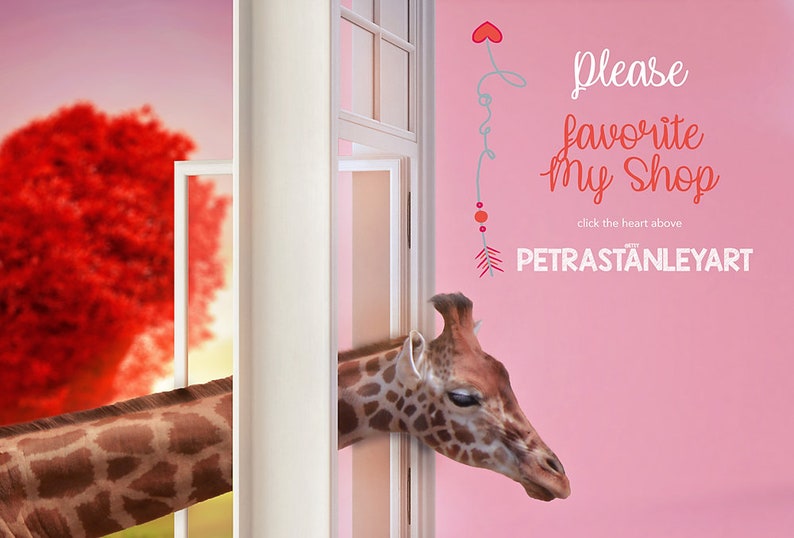 May include: A giraffe's head peeks through a white door frame, with a pink wall behind it. The wall has a red heart with a string attached to it, leading to an arrow with a red and white design. The text "Please favorite my shop" is written in red and white, with the text "click the heart above" in smaller white text. The text "PETRASTANLEYART" is written in red and white.