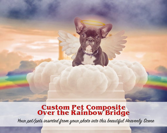 Digital Delivery Memorial Pet Portrait Edit From Your Photo - Etsy Canada Digital Delivery Memorial Pet Portrait Edit From Your Photo - Etsy Canada