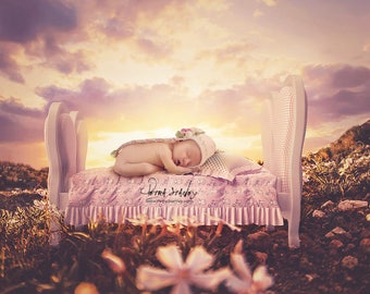 Newborn Digital Backdrop - Pink Bed - Baby in Flowers - Baby Backdrop Nature - Newborn Outdoors - Baby Girl Pink Bed Prop - Photoshop -Field