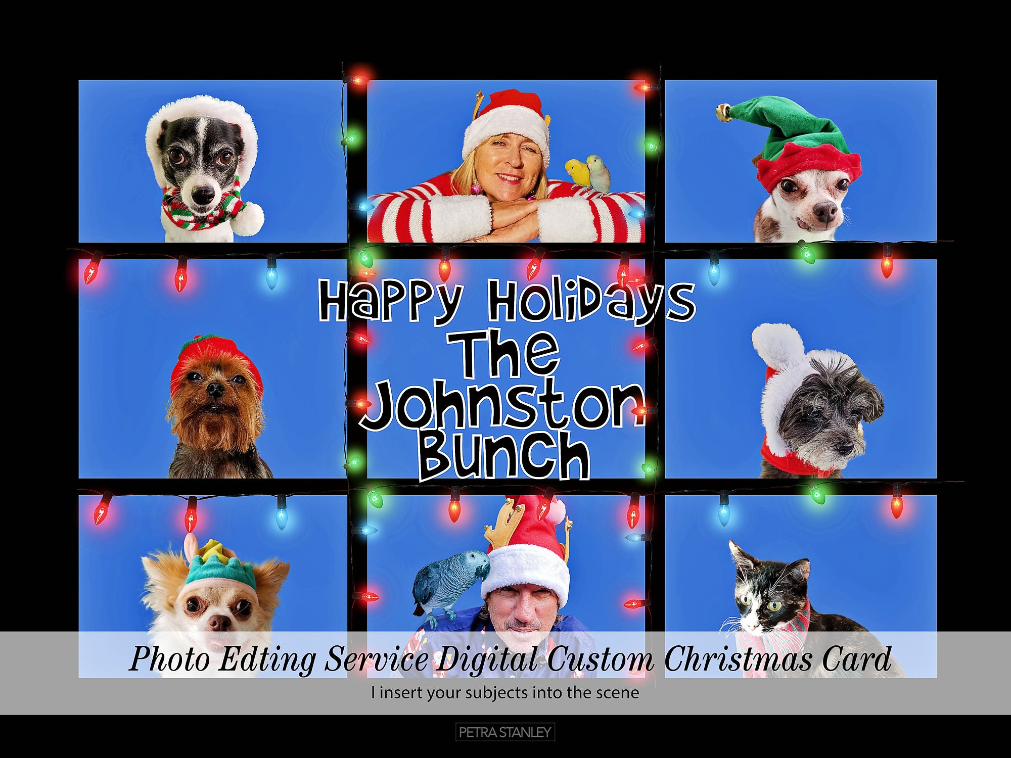 Funny Brady Bunch Christmas Photo Cards Zoom Christmas Card Etsy