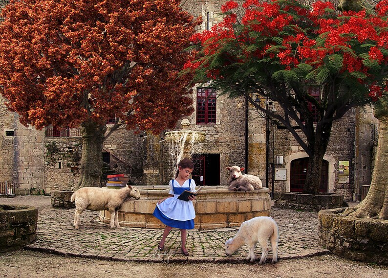 3 Beauty And The Best Inspired Digital Backdrops Backgrounds Etsy