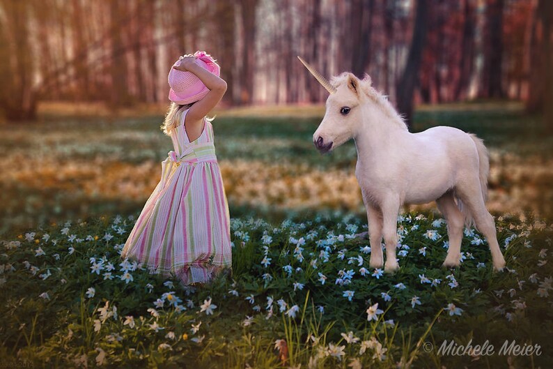baby unicorn digital backdrop digital background unicorn