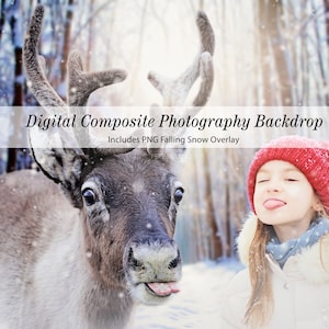 Reindeer Closeup with Tongue Sticking Out Digital Backdrop with Snow Overlay, Santa's Reindeer Christmas Composite Photography Background