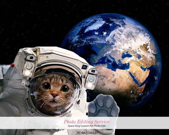 Digital Delivery Astronaut Cat Portrait Edit From Your Photo - Etsy Sweden