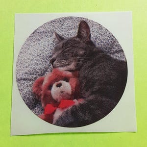 May include: A sticker featuring a gray tabby cat sleeping and cuddling a red teddy bear. The cat is lying on a gray and white patterned surface, with its eyes closed. The teddy bear has a red bow.