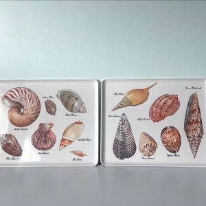 Mid Century Seashell Serving Trays, Made in Italy Melamine Platters, Set of 2