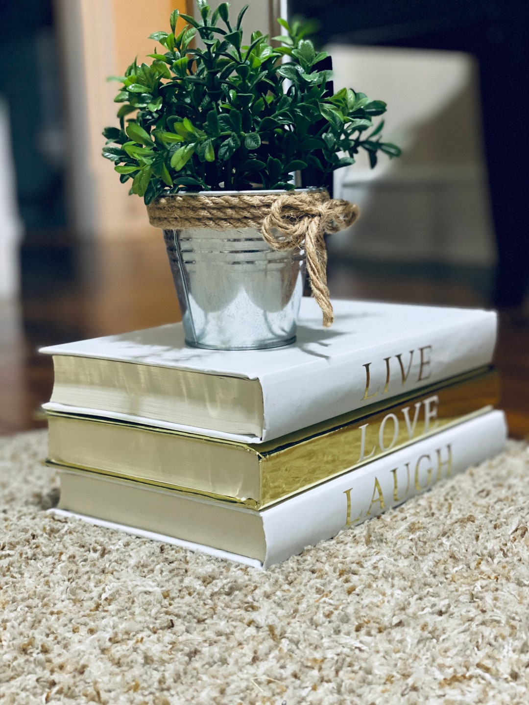 Set of 3 Decorative Coffee Table Books Etsy