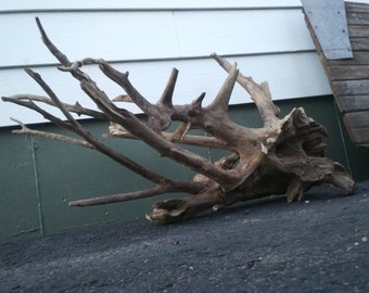 aquarium driftwood etsy
