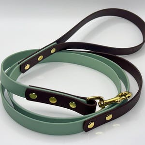 May include: A dog leash featuring a two-tone design with a light sage green strap and dark plum accents. The leash includes gold-toned metal rivets and a gold-toned swivel snap hook, providing a secure connection point for a collar or harness.