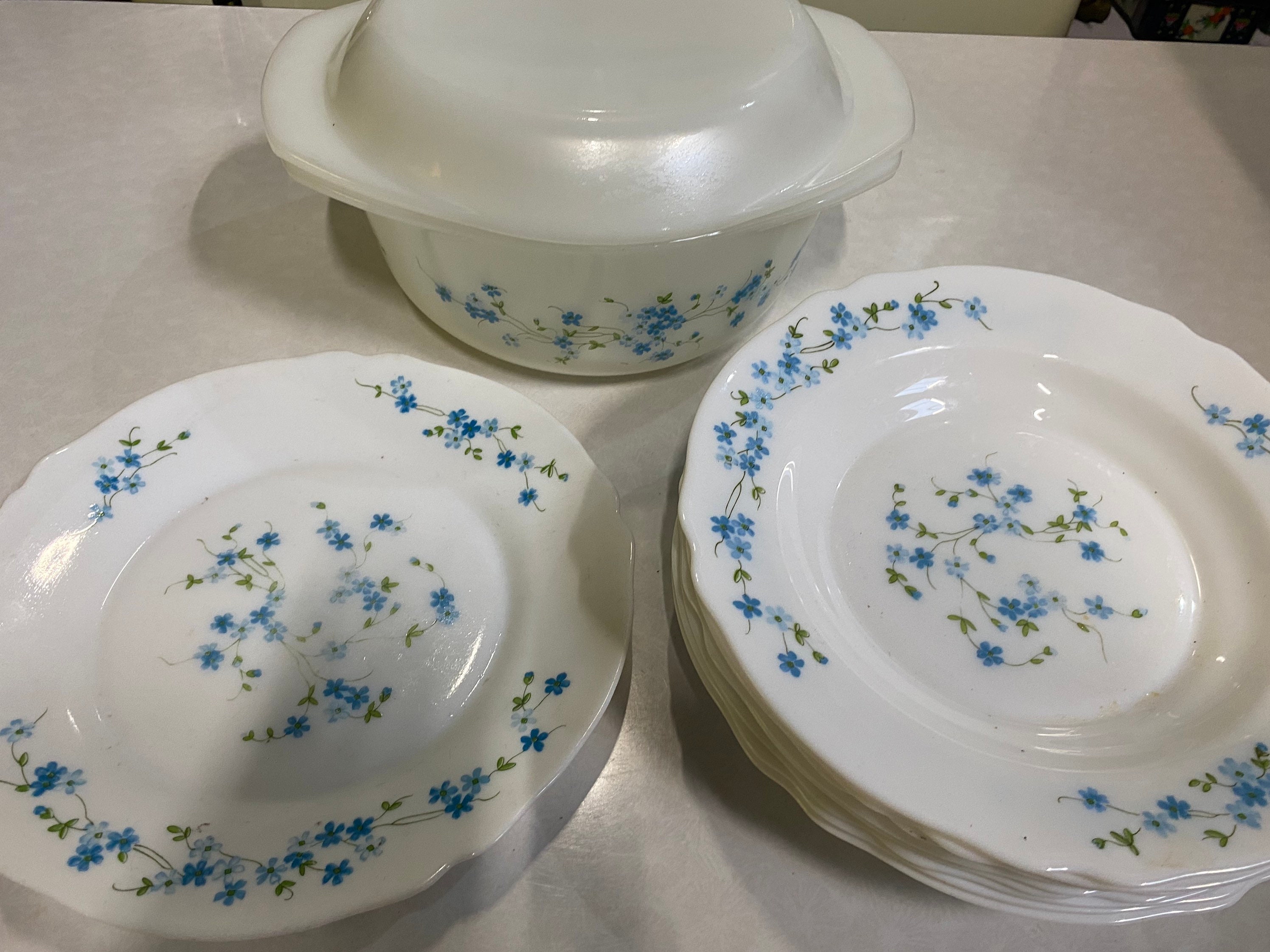Vintage Arcopal Glass Pyrex Open Deep Dish Plates Set Etsy