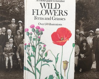 Vintage Book - A Colour Guide to Wild Flowers Ferns and Grasses - Published by Octopus, London, 1981