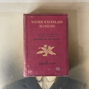 Könnte beinhalten: Ein burgunderfarbenes Buch mit dem Titel "Wayside & Woodland Blossoms: A Guide to British Wild Flowers Including All the Orchids" von Edward Step. Der Umschlag zeigt eine goldene Illustration einer Blume.