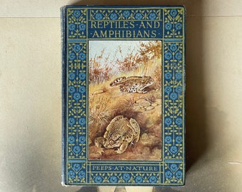 Antikes Buch – Britische Reptilien und Amphibien von A. Nicol Simpson, herausgegeben von Adam und Charles Black London 1913