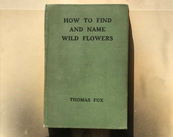 Antique Book - How To Find And Name Wild Flowers - By Thomas Fox - Published By Cassell And Co, London - 1907