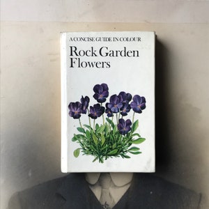Op de afbeelding: Een wit boek met de titel "Rock Garden Flowers", een beknopte gids in kleur. De omslag toont een illustratie van paarse bloemen met groene bladeren.