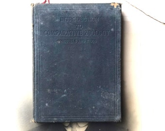 Livre ancien - Introduction à la zoologie comparée - Par F.G. Sarel Whitfield - Publié par J & A Churchill Ltd, Londres - 1935 -