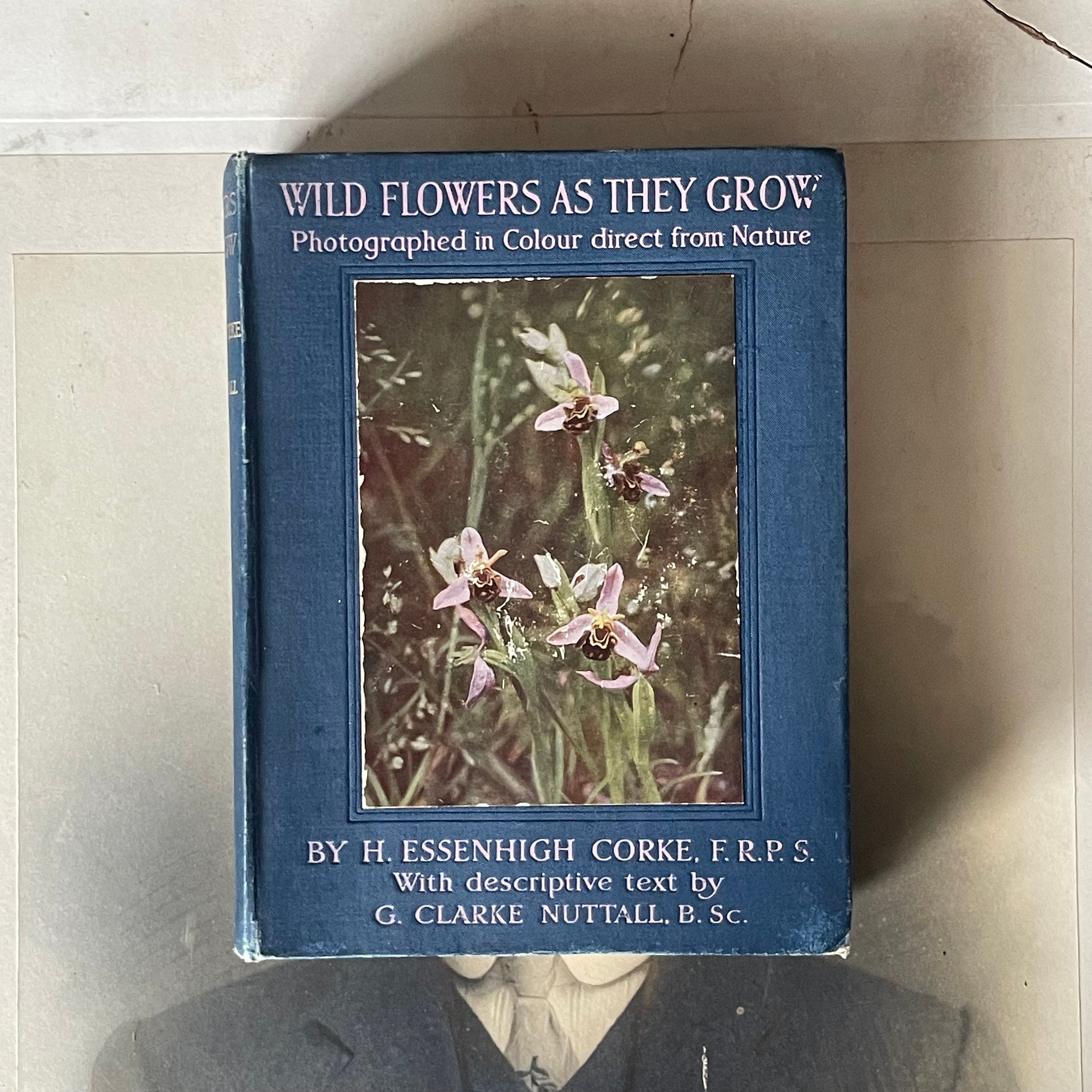 超希少 1876年 アンティーク WILD FLOWERS 手彩色 大型本 Antique Book - Wild Flowers as They Grow Photographed in Colour