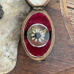 Fabulous Vintage Sterling Silver Band & Resin Ring Pressed Daisy Flower - UK Size O -