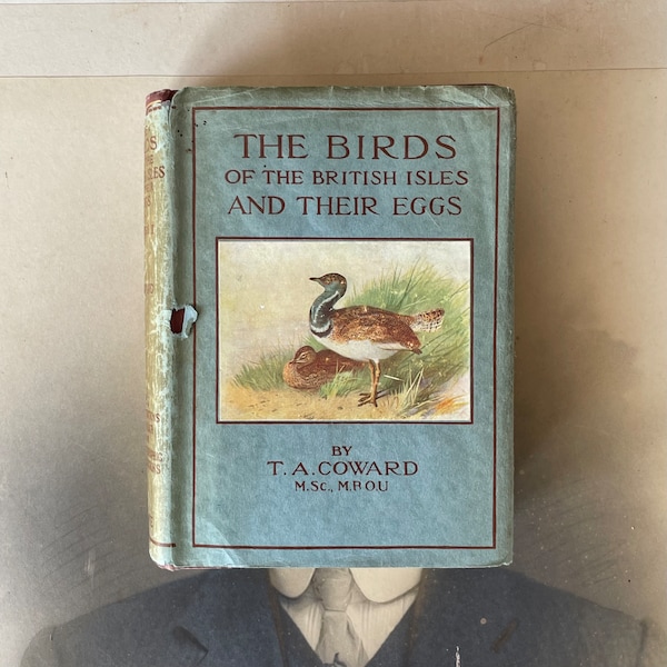 Antique Book - The Birds Of The British Isles And Their Eggs by TA Coward - Published By Frederick Warne & Co, London, 1936 - Fifth Edition